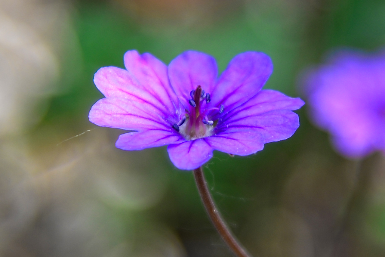 DSC_5179.jpg