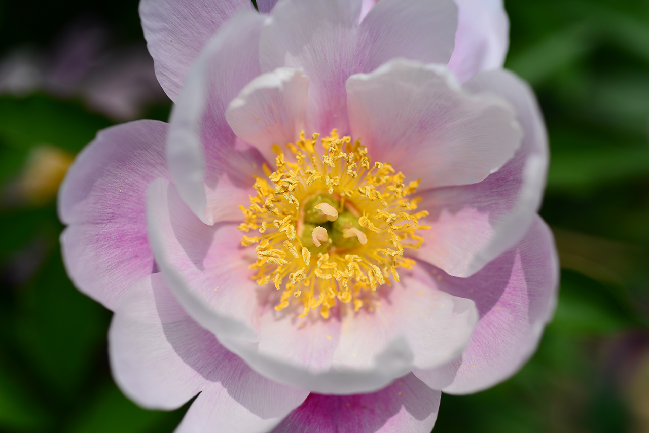 DSC_8229.jpg